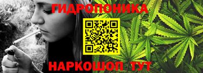 гашик Кулебаки