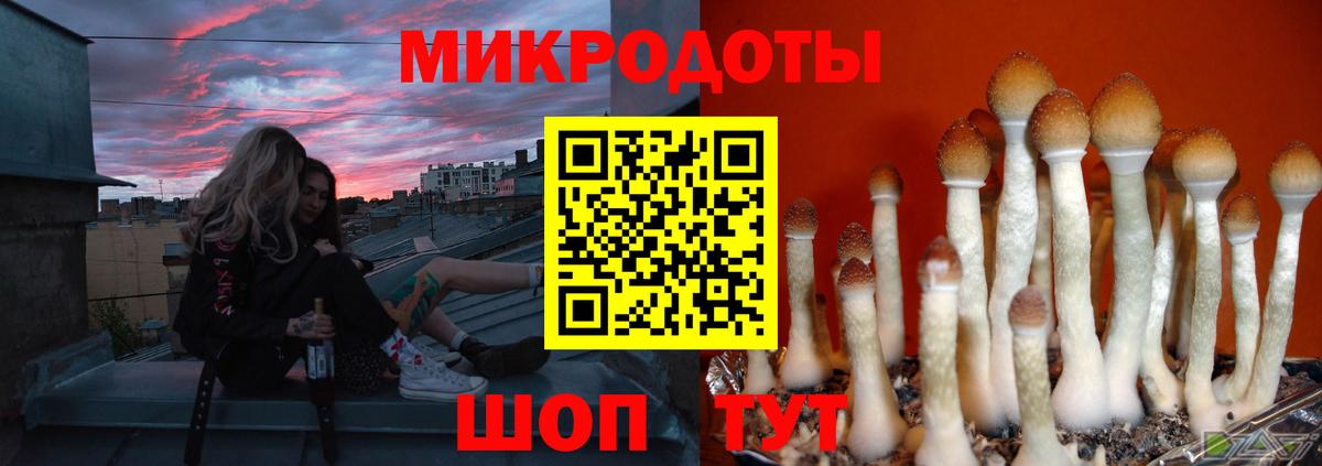 Владимир  Галлюциногенные грибы мухоморы  Вход с VPN 
